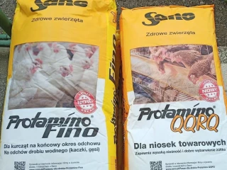 koncetraty-sano