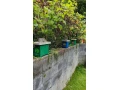 ponuka-small-1