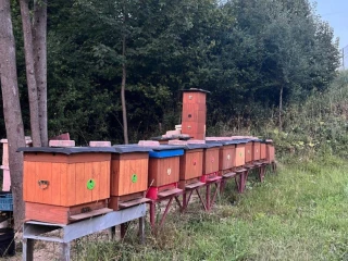 predam-10-vcelich-rodin-na-csl-s-kompletnym-vybavenim