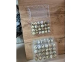 predam-prepelice-vajicka-small-1