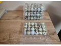 predam-prepelice-vajicka-small-0