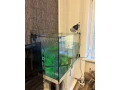 predam-komplet-akvarium-s-korytnackou-small-0