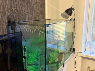 predam-komplet-akvarium-s-korytnackou