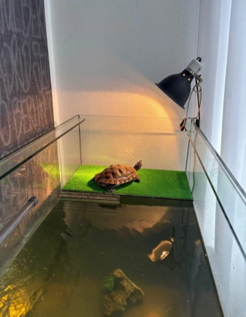 predam-komplet-akvarium-s-korytnackou-big-2