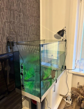 predam-komplet-akvarium-s-korytnackou-big-0