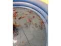 predam-karasov-small-0