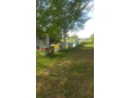 predam-vcelstva-small-0