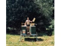 vcelie-matky-sitnanka-f1-small-1