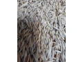 predam-ovos-uroda-2026-small-0