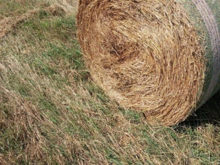 slama