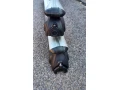 stresny-nosic-priecniky-small-0