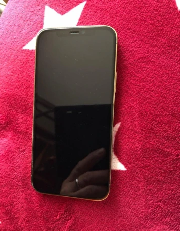 predam-iphone-12pro-big-2
