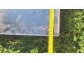 digestor-whirlpool-small-3