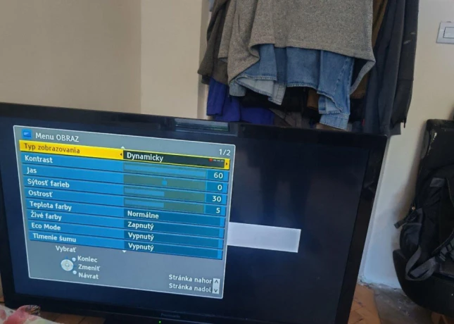panasonic-viera-big-0