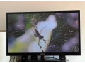 samsung-ps51d450aw-130cm-small-4