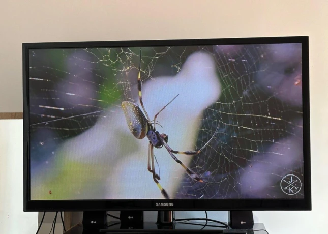 samsung-ps51d450aw-130cm-big-4