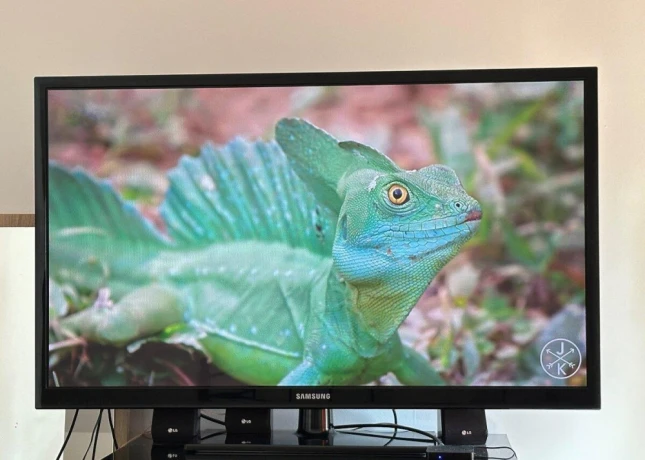 samsung-ps51d450aw-130cm-big-3