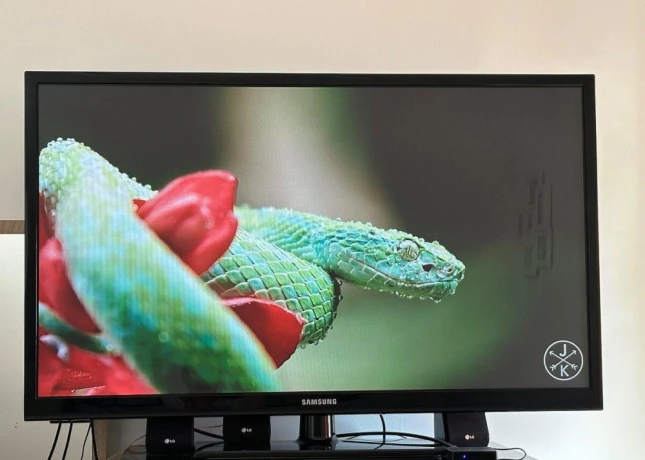 samsung-ps51d450aw-130cm-big-2