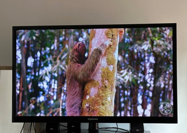 samsung-ps51d450aw-130cm-big-1