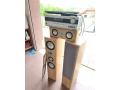 magnat-motion-1000-small-0
