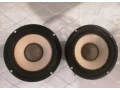 basove-repro-genius-small-0