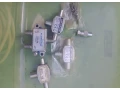 coaxial-kabel-kable-small-1