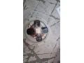 arecont-vision-av8365dn-hb-360-profesionalna-ip-kamera-small-2