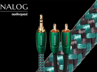 audioquest-evergreen-10m-rca-35mm-jack