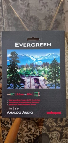 audioquest-evergreen-10m-rca-35mm-jack-big-4