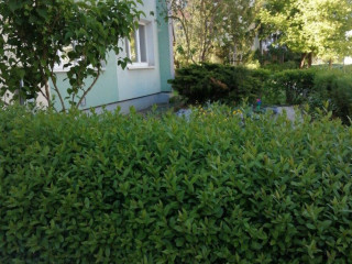 slnecny-3izb-s-loggiou-uprostred-zelene