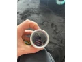 budik-na-meranie-tlaku-turba-small-1
