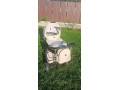 junama-sport-2022-small-0
