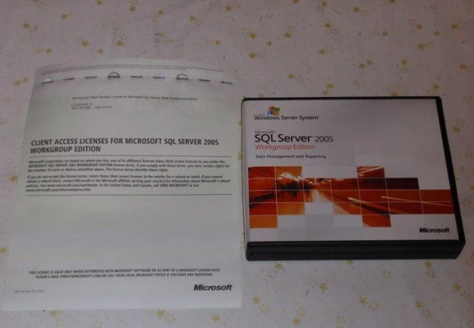 ms-sql-server-2005-big-1