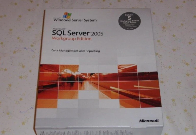 ms-sql-server-2005-big-0