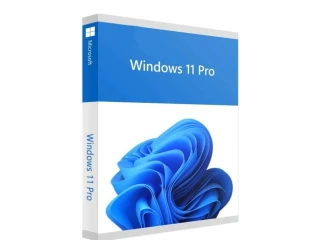 windows-11-pro