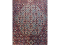 perzsky-koberec-3x4m-small-2