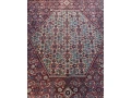 perzsky-koberec-3x4m-small-2