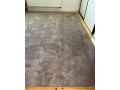 novy-koberec-small-1