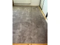 novy-koberec-small-1