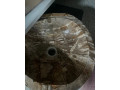 kamenne-umyvadlo-small-2