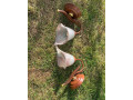 sada-lustra-a-lamp-small-2