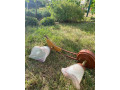 sada-lustra-a-lamp-small-1