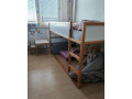 postel-small-1