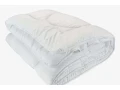predam-paplon-fjelldal-a-bliecky-nell-small-0