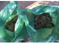 zahradne-dekoracie-a-piniova-kora-small-0