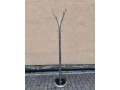 predam-designove-vesiaky-small-0