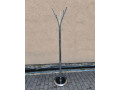 predam-designove-vesiaky-small-1