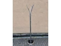 predam-designove-vesiaky-small-0