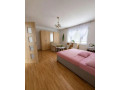 predaj-rodinny-dom-dolna-sec-okres-levice-small-4