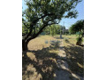 zahrada-526m2-s-murovanou-chatkou-v-kralovej-nad-vahom-blizk-small-0